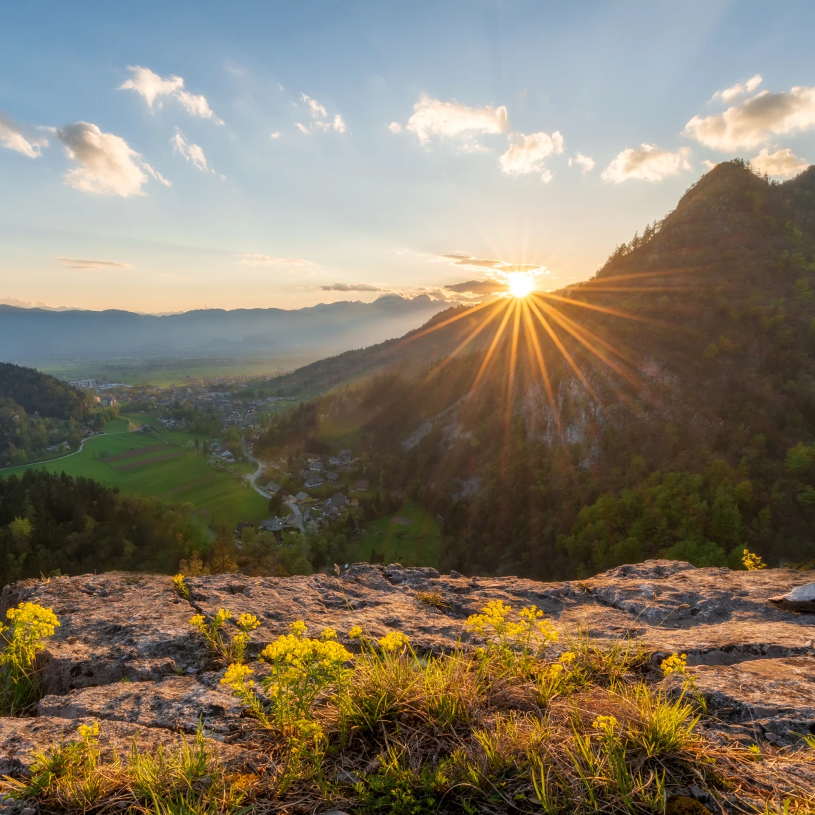 Qui suis-je ? - Psy One Art - Psychopraticienne